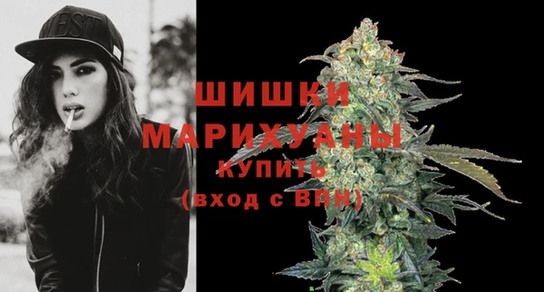 мдпв Лагань